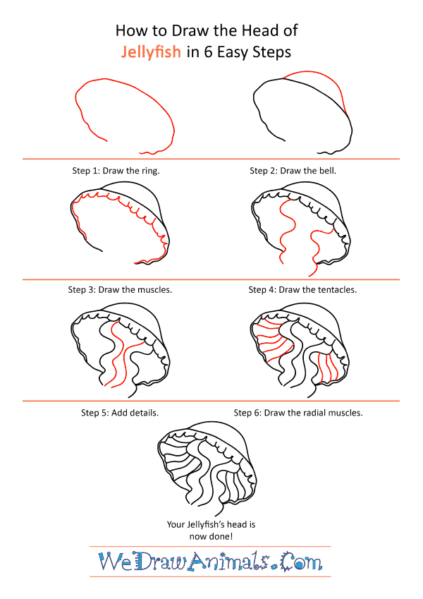 How to Draw a Jellyfish Face - Step-by-Step Tutorial