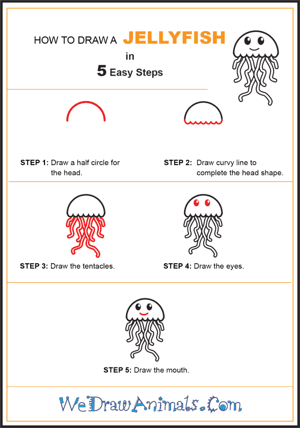 How to Draw a Jellyfish for Kids - Step-by-Step Tutorial