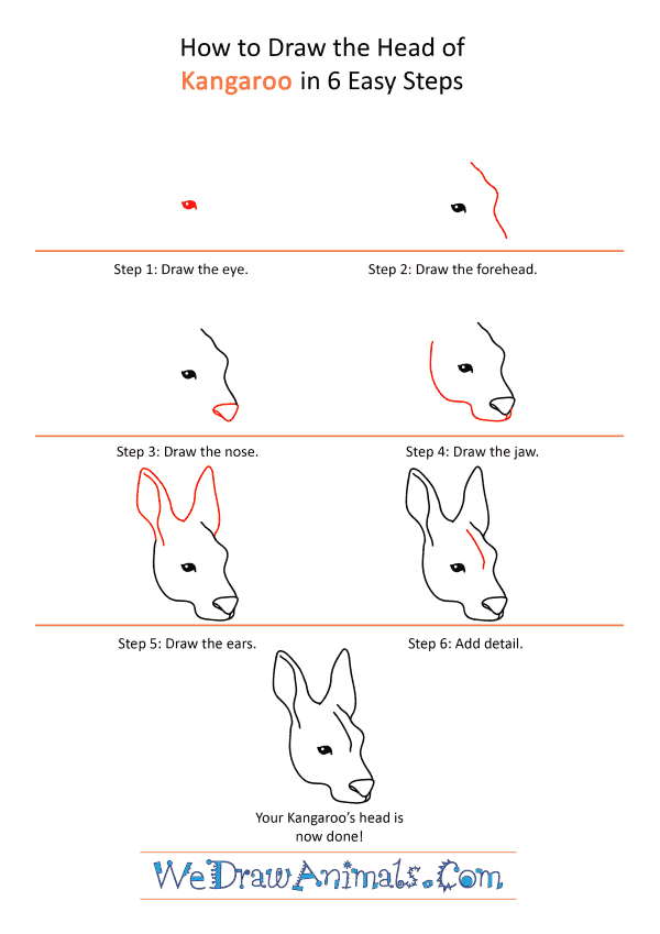 How to Draw a Kangaroo Face - Step-by-Step Tutorial