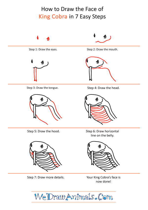 How to Draw a King Cobra Face - Step-by-Step Tutorial