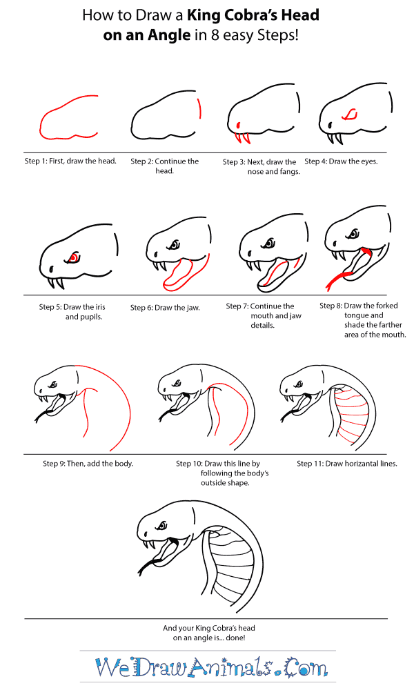 How to Draw a King Cobra Head - Step-by-Step Tutorial