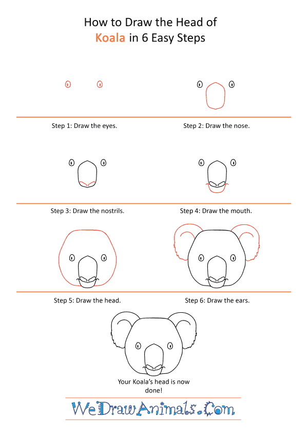 How to Draw a Koala Face - Step-by-Step Tutorial