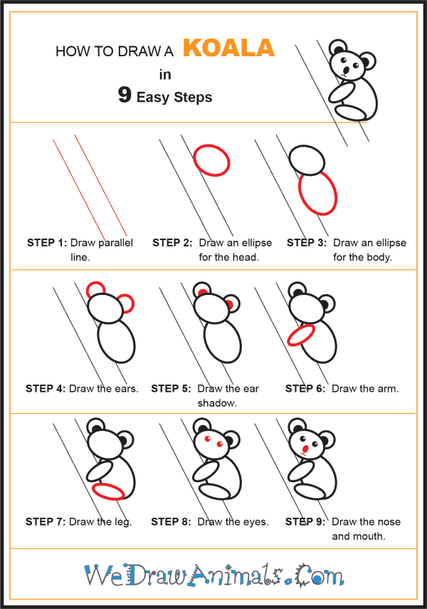 How to Draw a Koala for Kids - Step-by-Step Tutorial