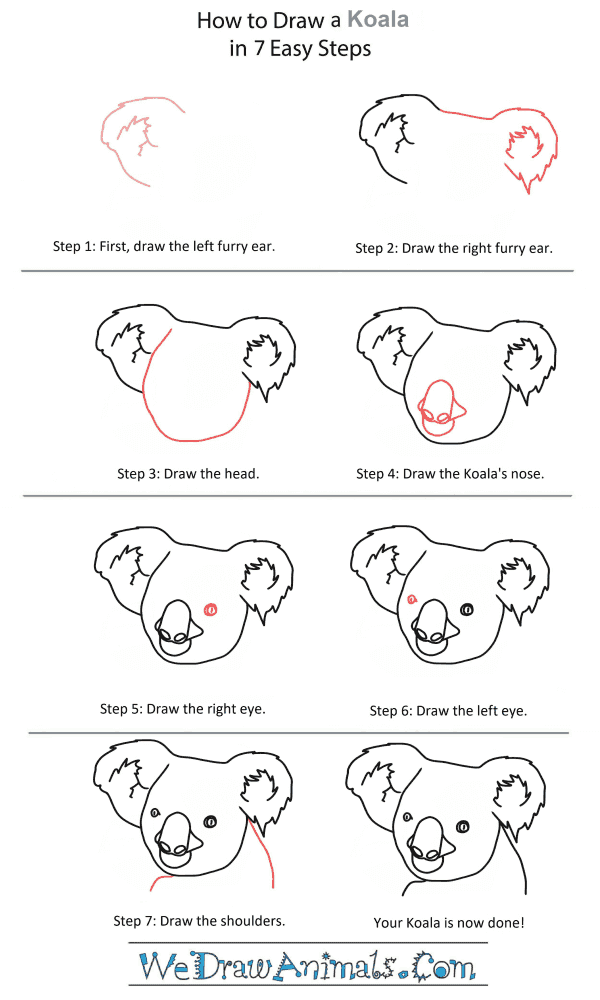 How to Draw a Koala Head - Step-by-Step Tutorial