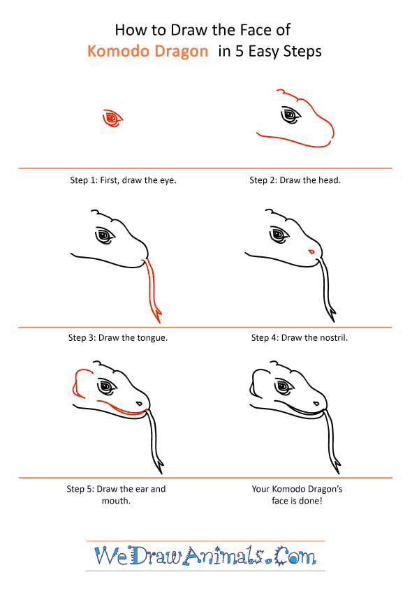 How to Draw a Komodo Dragon Face - Step-by-Step Tutorial
