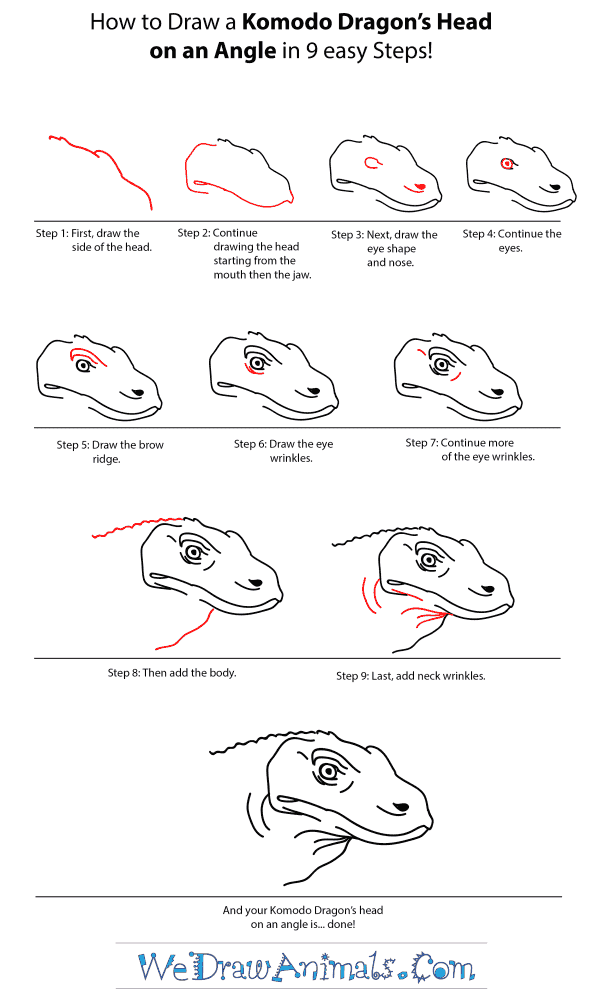 How to Draw a Komodo Dragon Head - Step-by-Step Tutorial