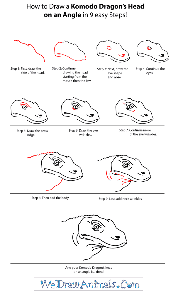 how to draw a dragon head step by step for beginners