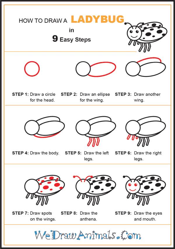 How to Draw a Ladybug for Kids - Step-by-Step Tutorial