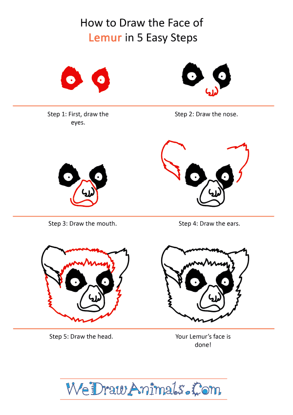 How to Draw a Lemur Face - Step-by-Step Tutorial
