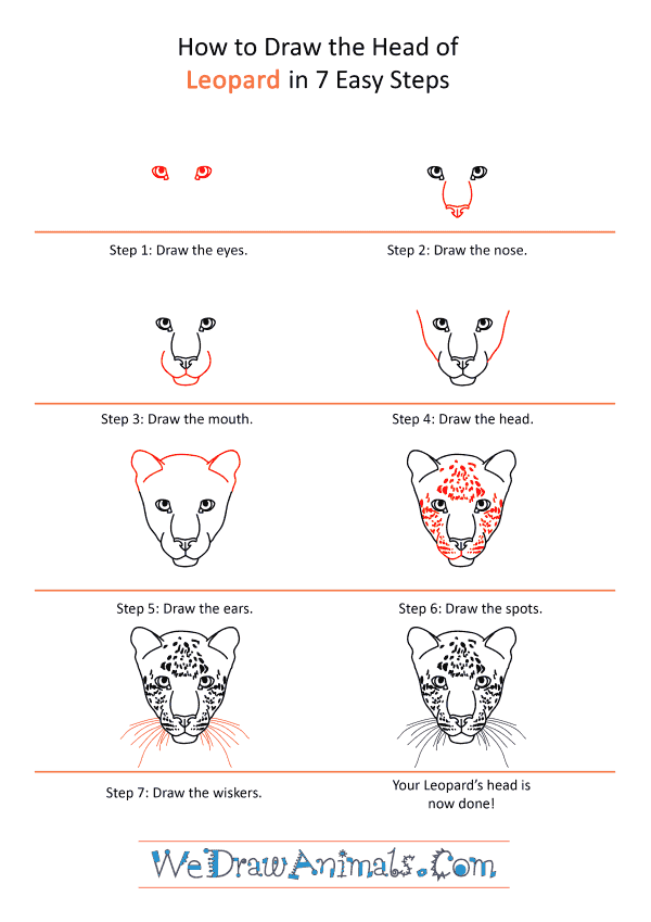 How to Draw a Leopard Face - Step-by-Step Tutorial