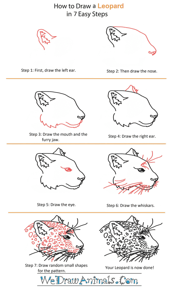 How to Draw a Leopard Head - Step-by-Step Tutorial