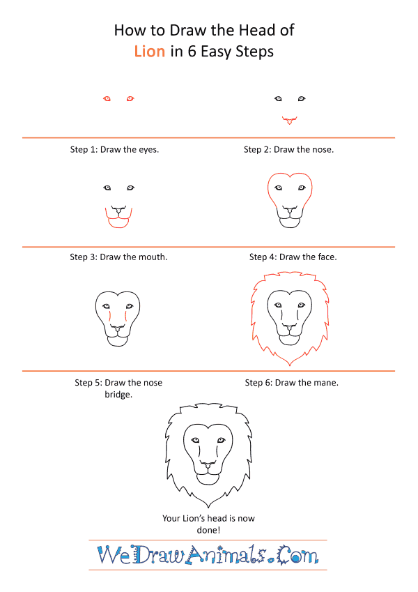 How to Draw Lion Face & Head Step by Step - EasyDrawingTips