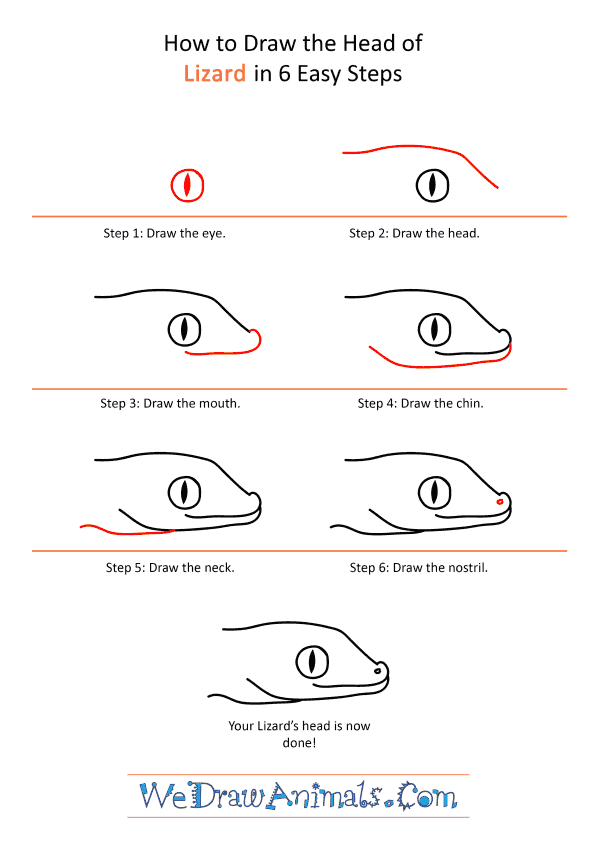 How to Draw a Lizard Face - Step-by-Step Tutorial