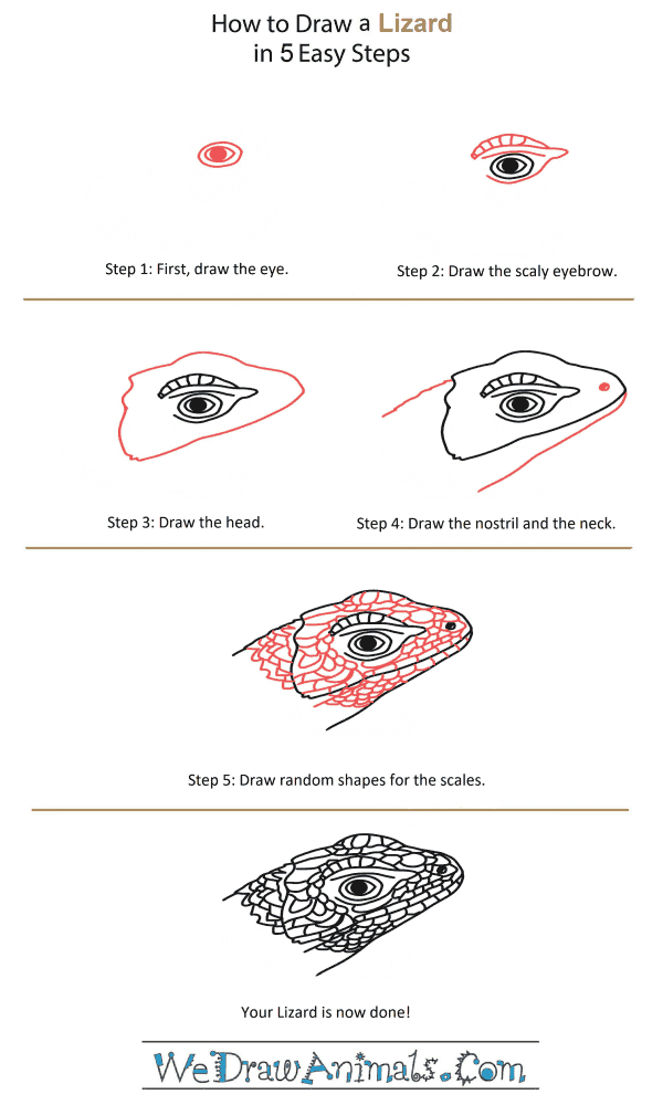 How to Draw a Lizard Head - Step-by-Step Tutorial
