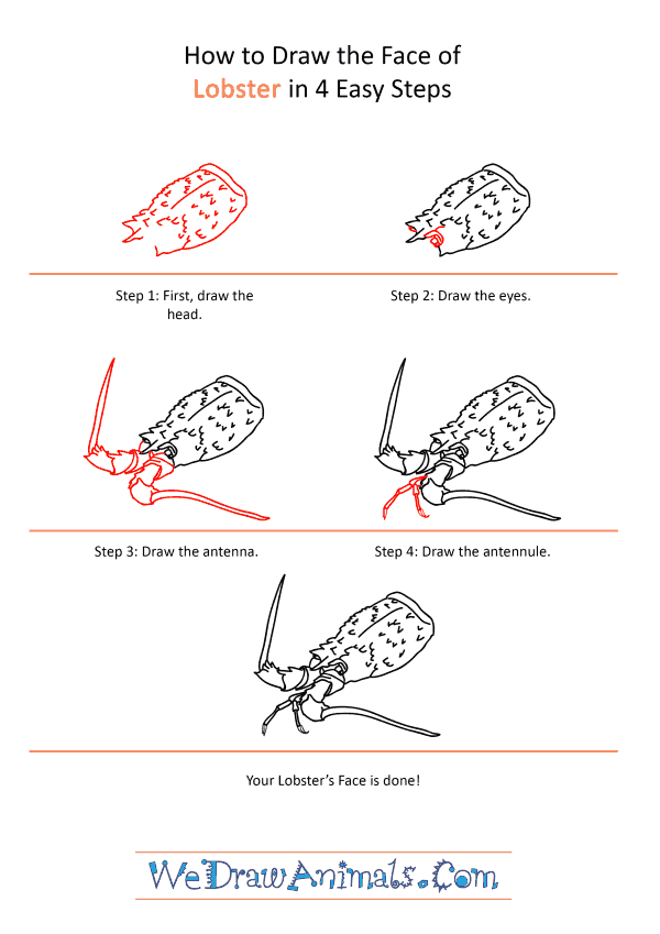 How to Draw a Lobster Face - Step-by-Step Tutorial