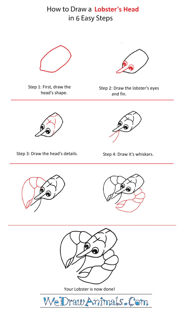 How to Draw a Lobster Head - Step-by-Step Tutorial