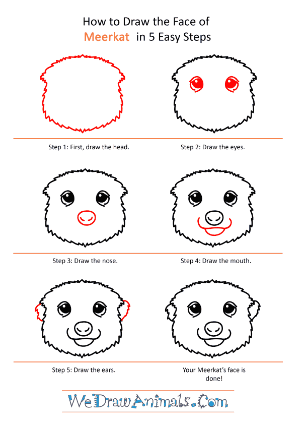 How to Draw a Meerkat Face - Step-by-Step Tutorial