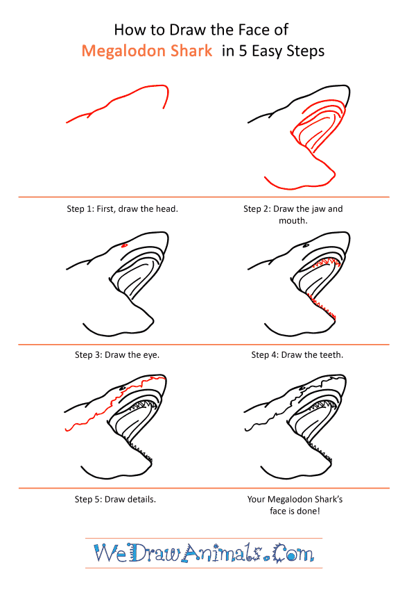 How to Draw a Megalodon Shark Face - Step-by-Step Tutorial