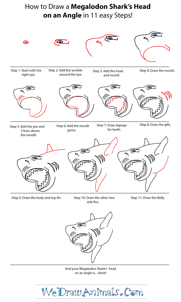 How to Draw a Megalodon Shark Head - Step-by-Step Tutorial