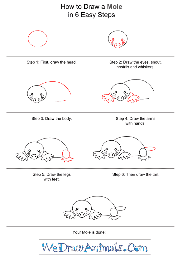 How to Draw a Mole for Kids - Step-by-Step Tutorial