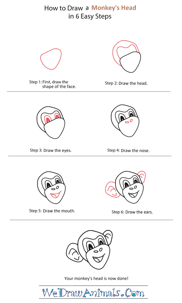 How to Draw a Monkey Head - Step-by-Step Tutorial