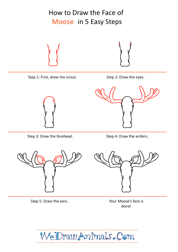 How to Draw a Moose Face - Step-by-Step Tutorial
