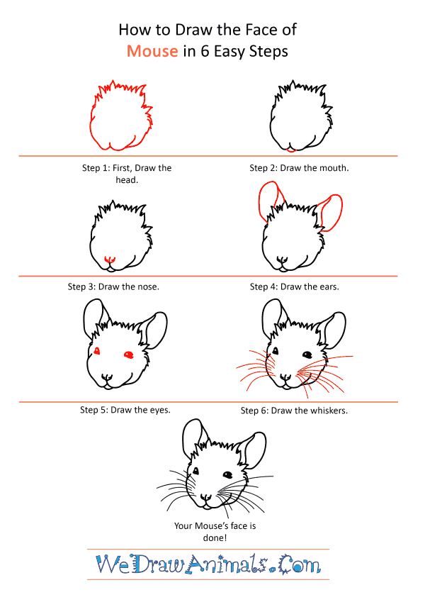 How to Draw a Mouse Face - Step-by-Step Tutorial