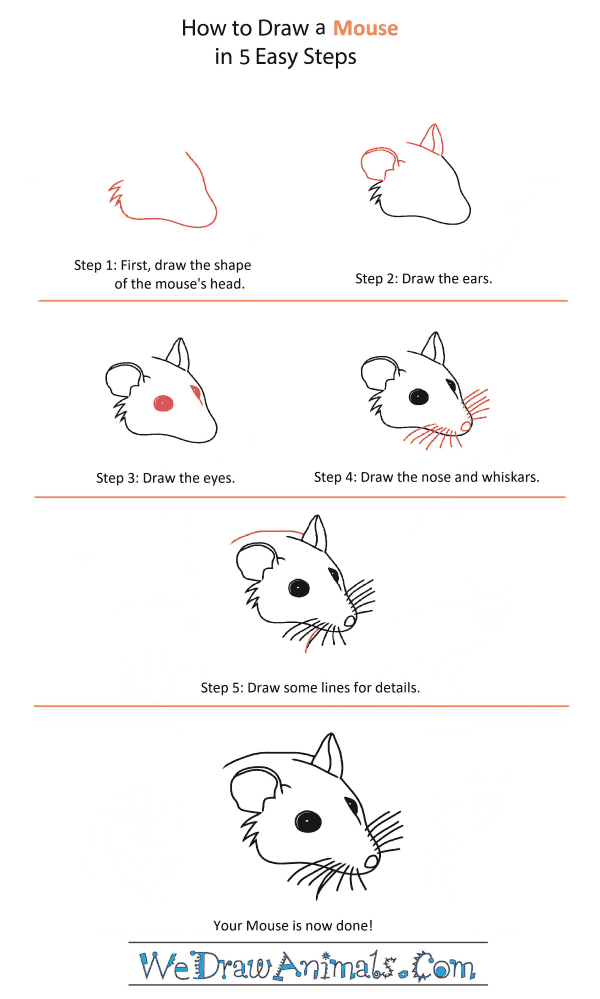 How to Draw a Mouse Head - Step-by-Step Tutorial