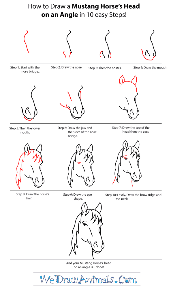 How to Draw a Mustang Horse Head - Step-by-Step Tutorial