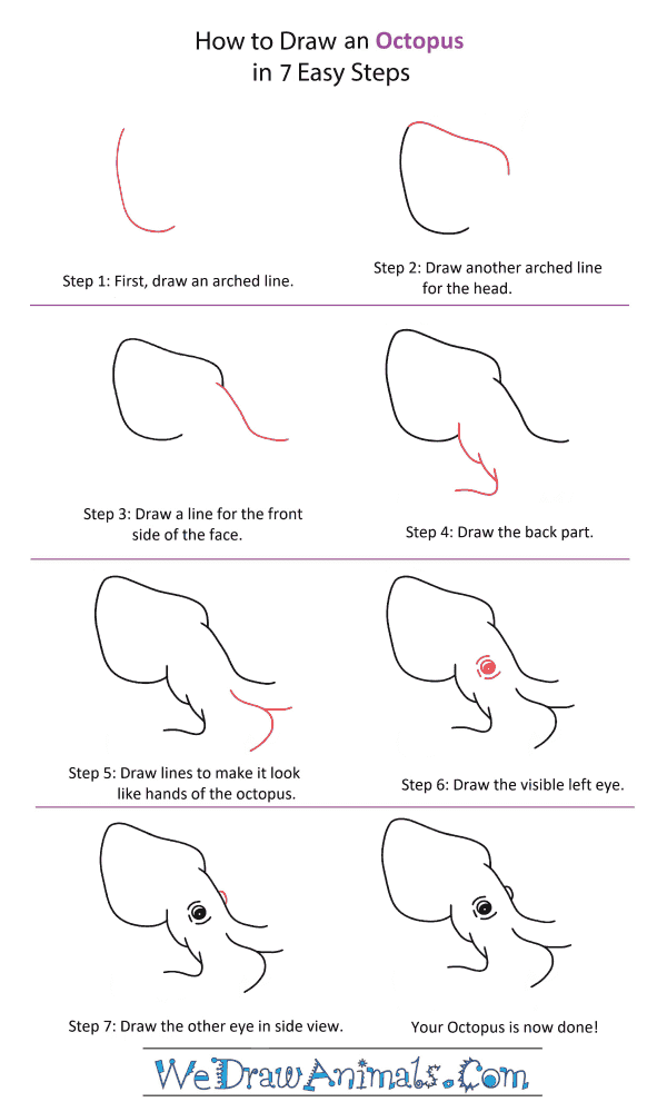 How to Draw an Octopus Head - Step-by-Step Tutorial
