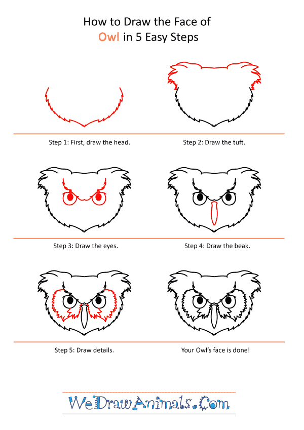 How to Draw an Owl Face - Step-by-Step Tutorial