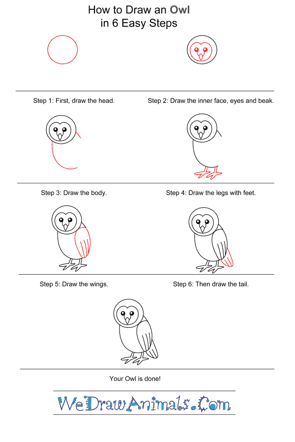 How to Draw an Owl for Kids - Step-by-Step Tutorial