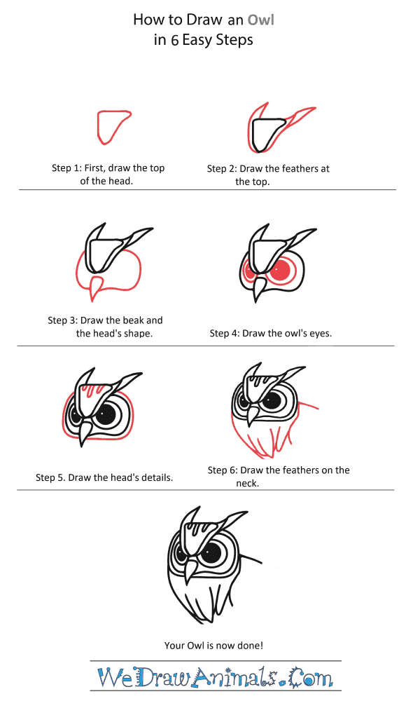 How to Draw an Owl Head - Step-by-Step Tutorial