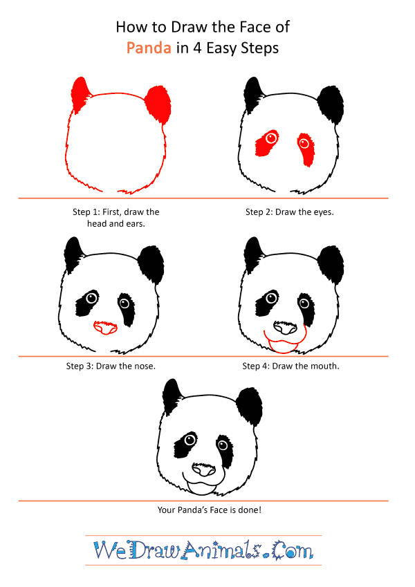 How to draw a Panda 🐼 Easy Panda Drawing 