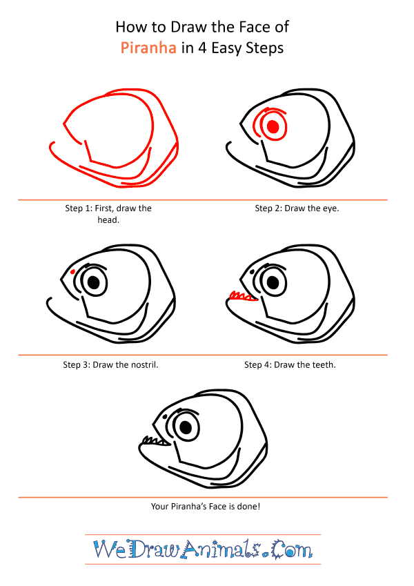 How to Draw a Piranha Face - Step-by-Step Tutorial