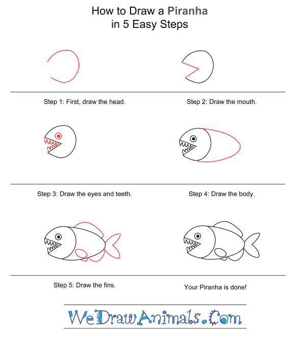 How to Draw a Piranha for Kids - Step-by-Step Tutorial