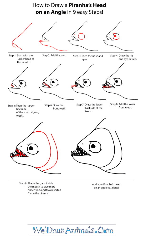 How to Draw a Piranha Head - Step-by-Step Tutorial