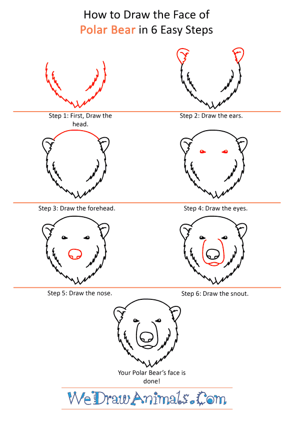 How to Draw a Polar Bear Face - Step-by-Step Tutorial