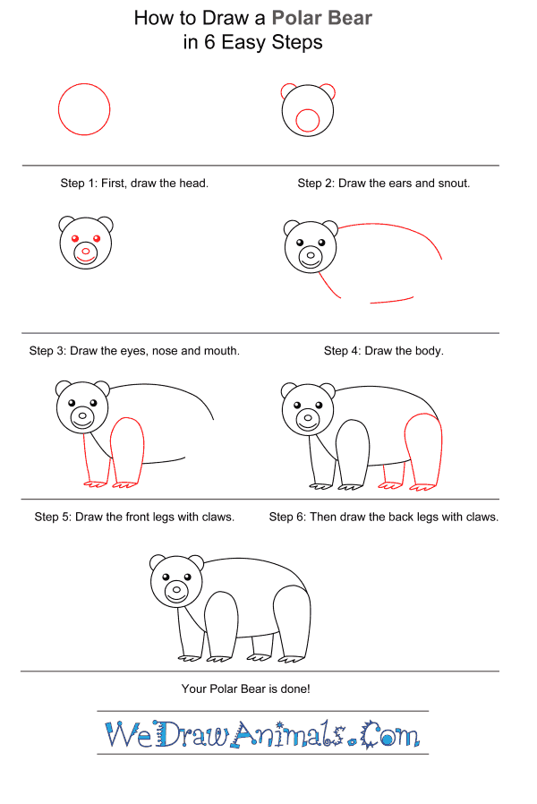 How to Draw a Polar Bear for Kids - Step-by-Step Tutorial