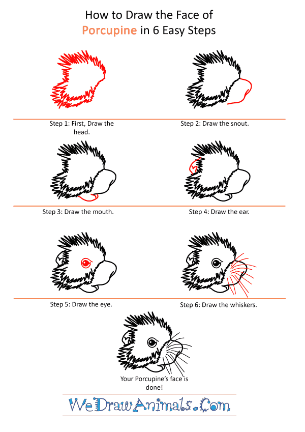 How to Draw a Porcupine Face - Step-by-Step Tutorial