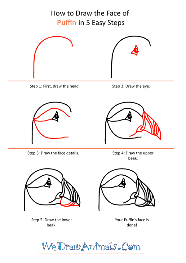 How to Draw a Puffin Face - Step-by-Step Tutorial