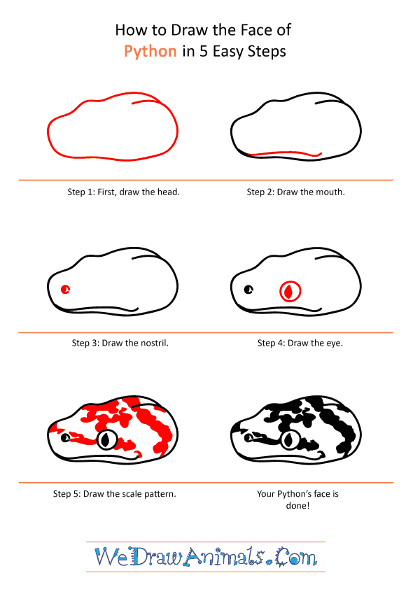 How to Draw a Python Face - Step-by-Step Tutorial