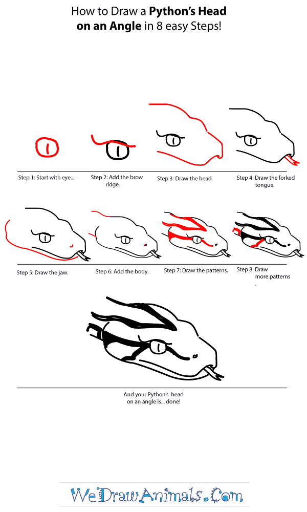How to Draw a Python Head - Step-by-Step Tutorial