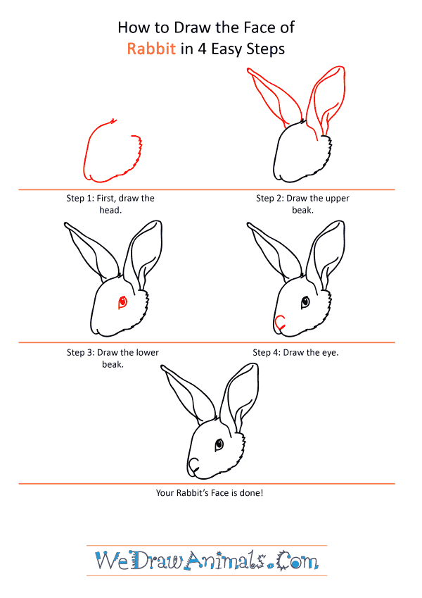 How to Draw a Rabbit Face - Step-by-Step Tutorial