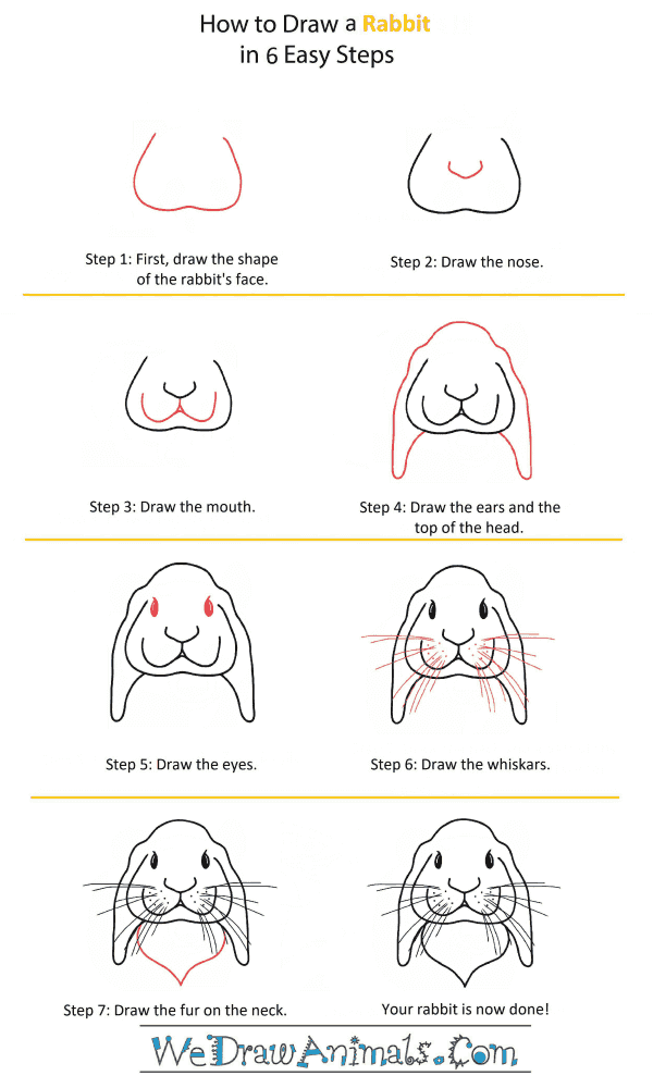 How to Draw a Rabbit Head - Step-by-Step Tutorial