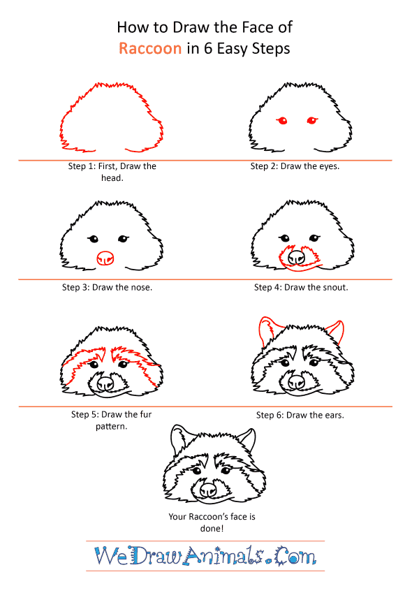 How to Draw a Raccoon Face - Step-by-Step Tutorial