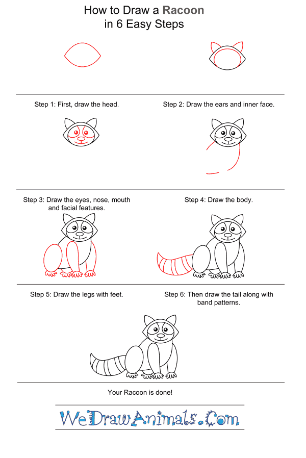 How to Draw a Raccoon for Kids - Step-by-Step Tutorial