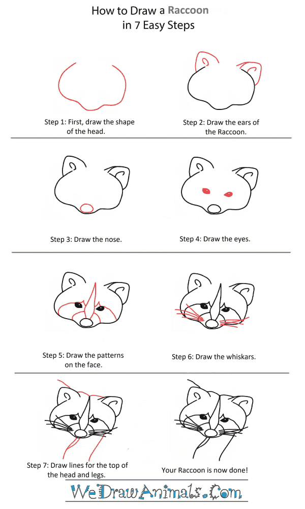 How to Draw a Raccoon Head - Step-by-Step Tutorial