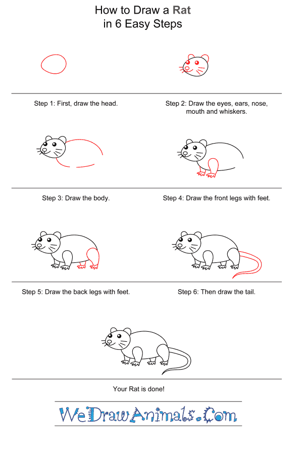 How to Draw a Rat for Kids - Step-by-Step Tutorial