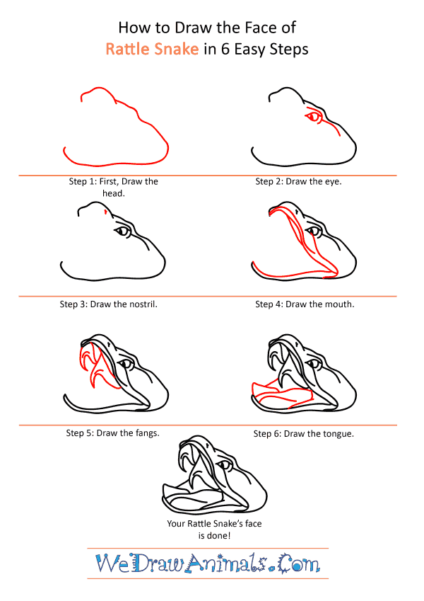 How to Draw a Rattlesnake Face - Step-by-Step Tutorial